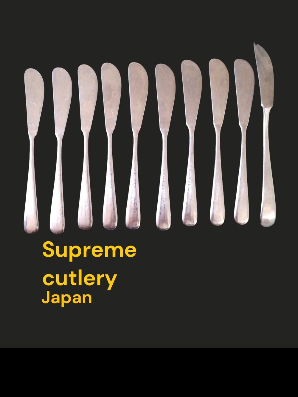 Set of 10 Silver Butter Spreaders Supreme Cutlery japan
